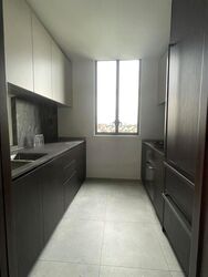 Leedon Green (D10), Condominium #436142391